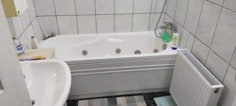 Apartament Cu Terasa La Casa Tina Τιμισοάρα Εξωτερικό φωτογραφία