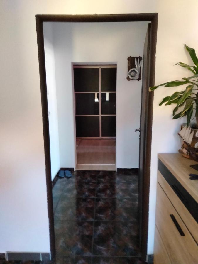 Apartament Cu Terasa La Casa Tina Τιμισοάρα Εξωτερικό φωτογραφία