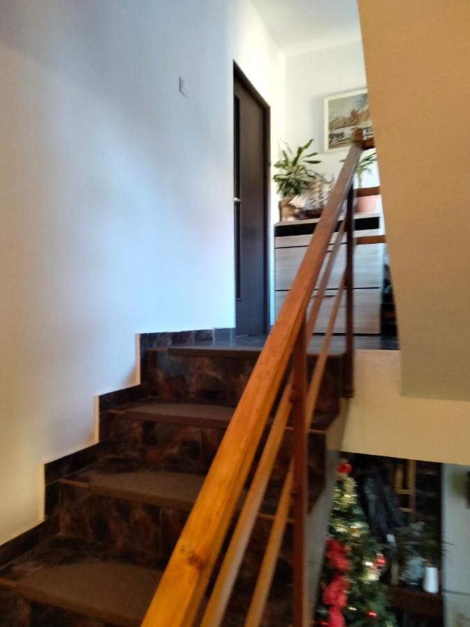 Apartament Cu Terasa La Casa Tina Τιμισοάρα Εξωτερικό φωτογραφία