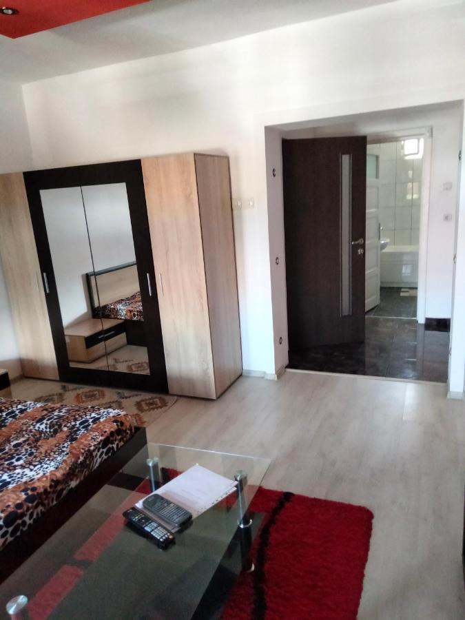 Apartament Cu Terasa La Casa Tina Τιμισοάρα Εξωτερικό φωτογραφία