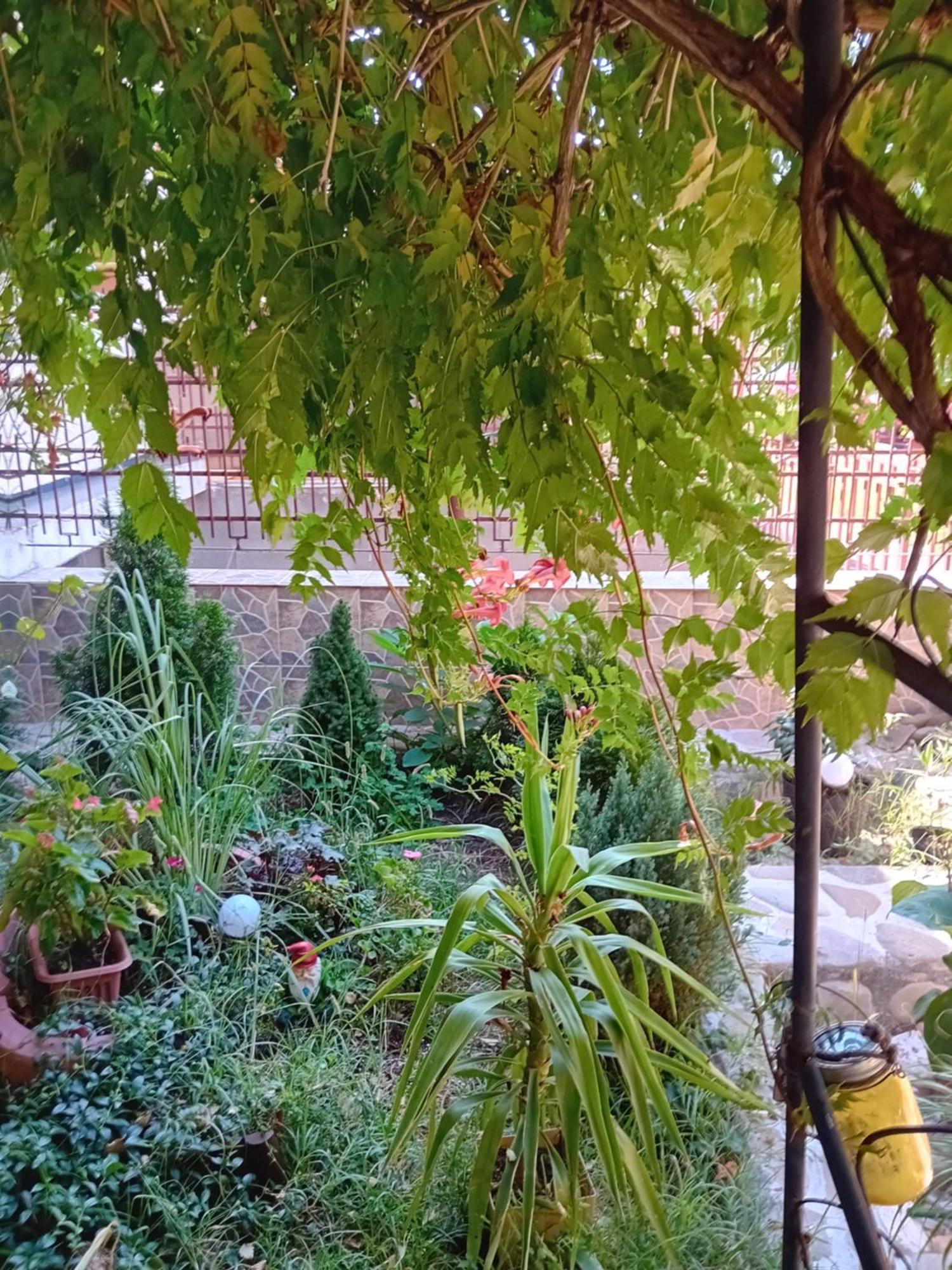 Apartament Cu Terasa La Casa Tina Τιμισοάρα Εξωτερικό φωτογραφία