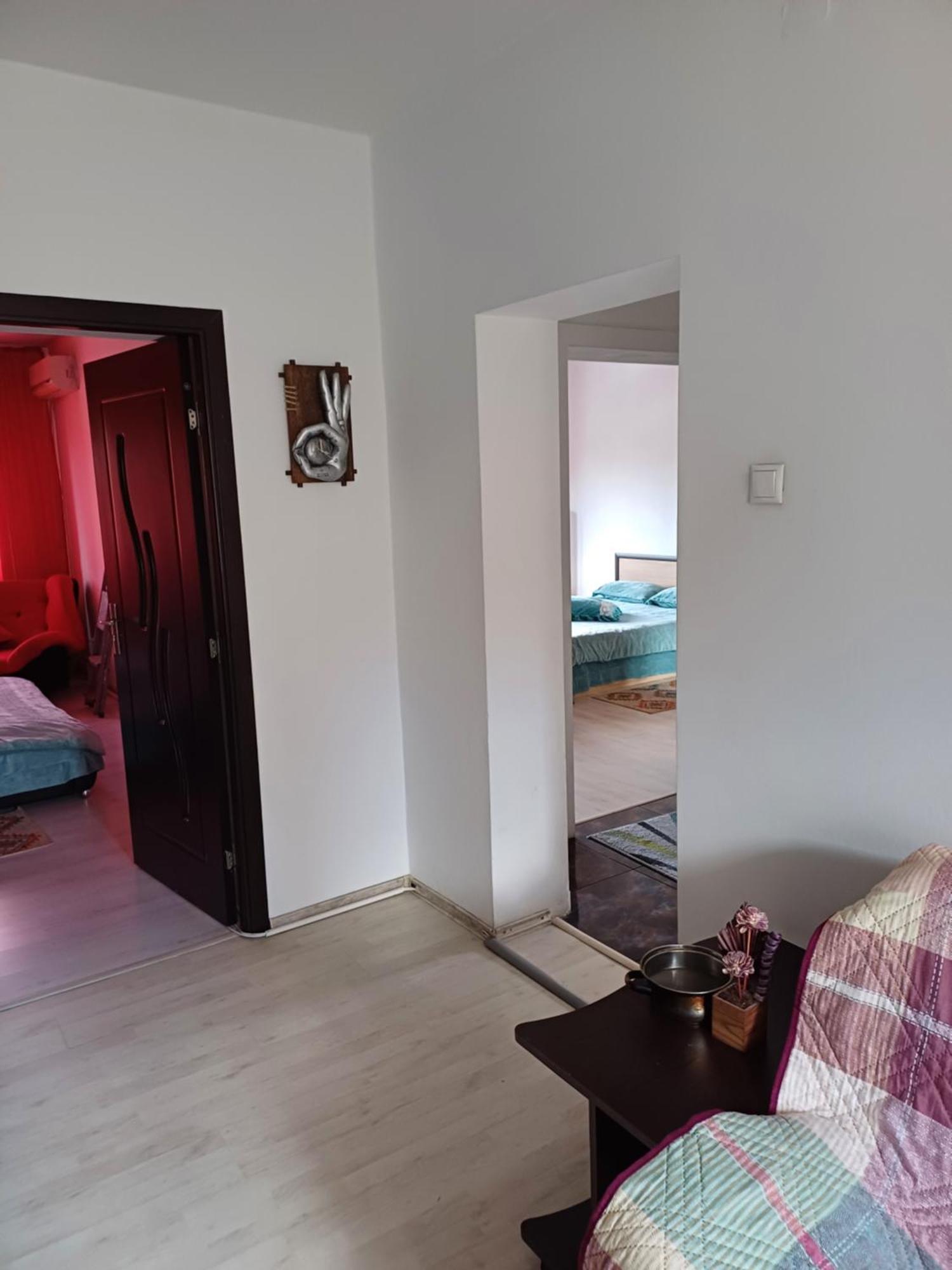 Apartament Cu Terasa La Casa Tina Τιμισοάρα Εξωτερικό φωτογραφία