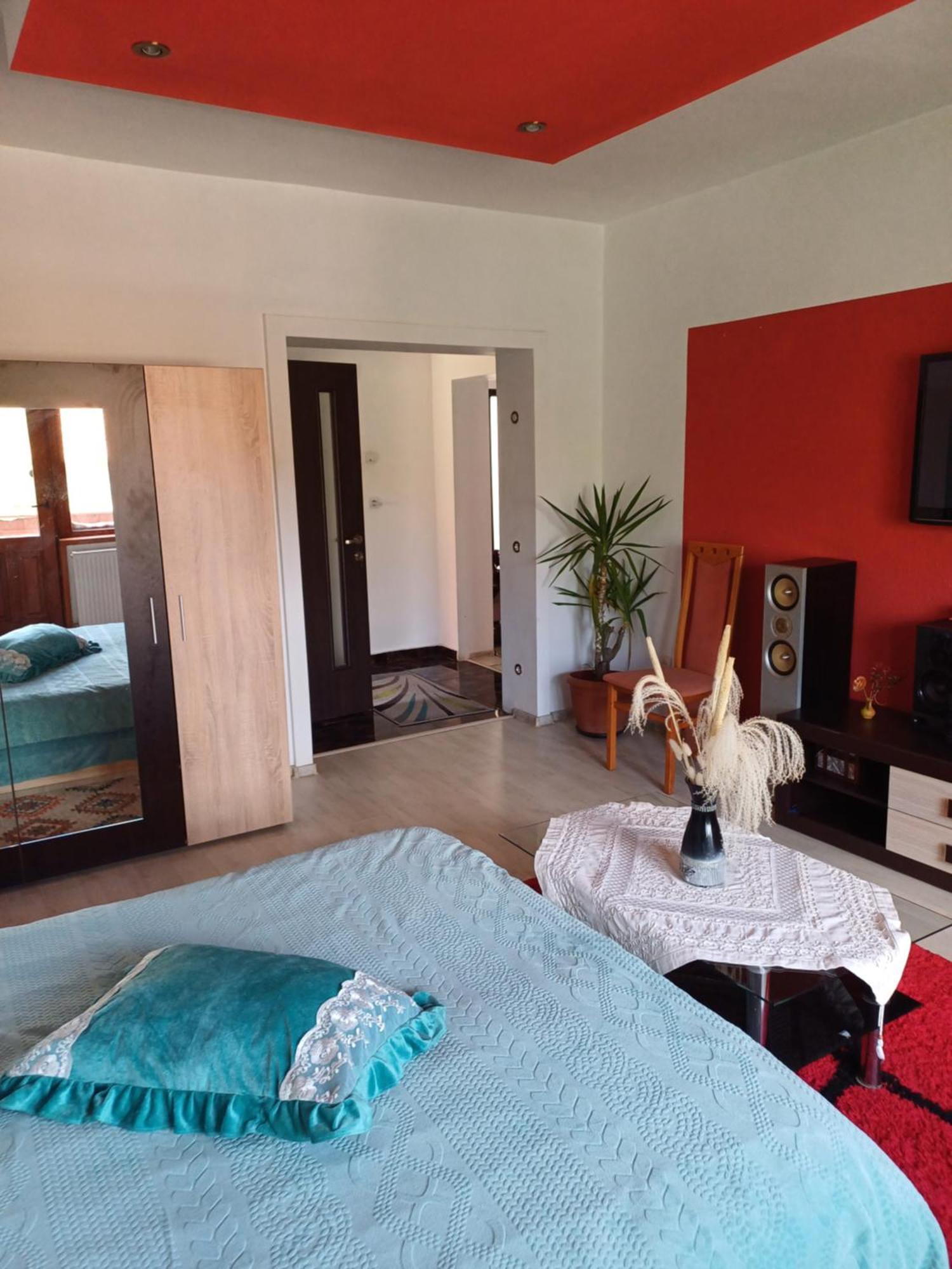 Apartament Cu Terasa La Casa Tina Τιμισοάρα Εξωτερικό φωτογραφία